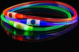 Bee Seen LED Dog Band Usb