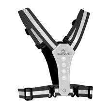 Bee Seen LED Harness